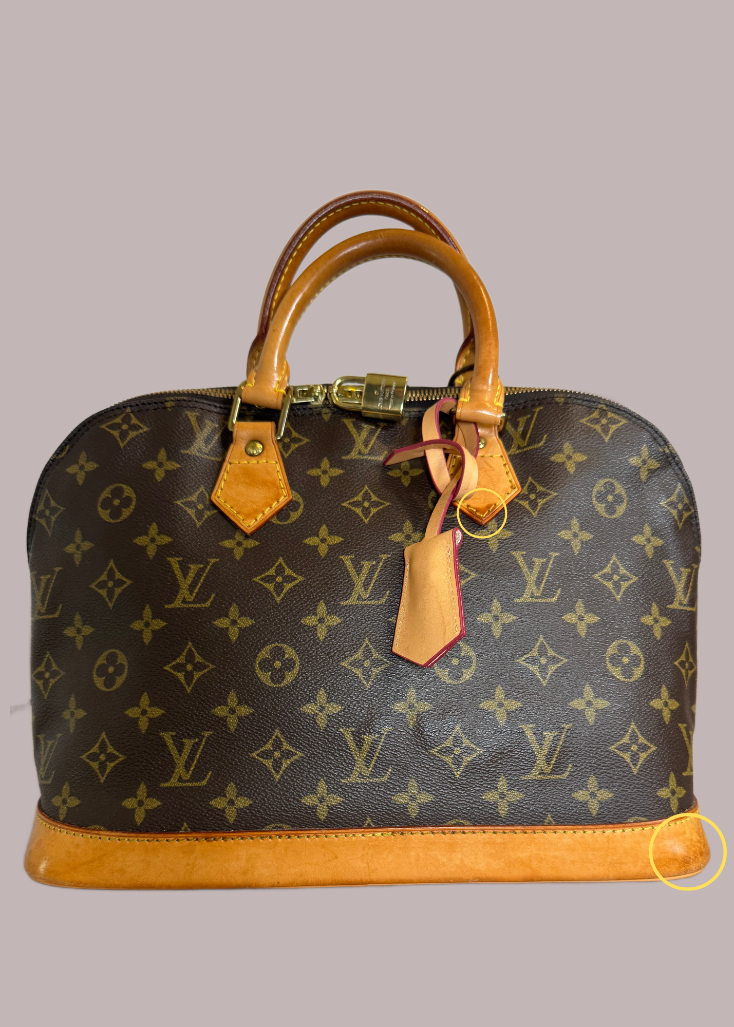 Louis Vuitton Monogram Alma